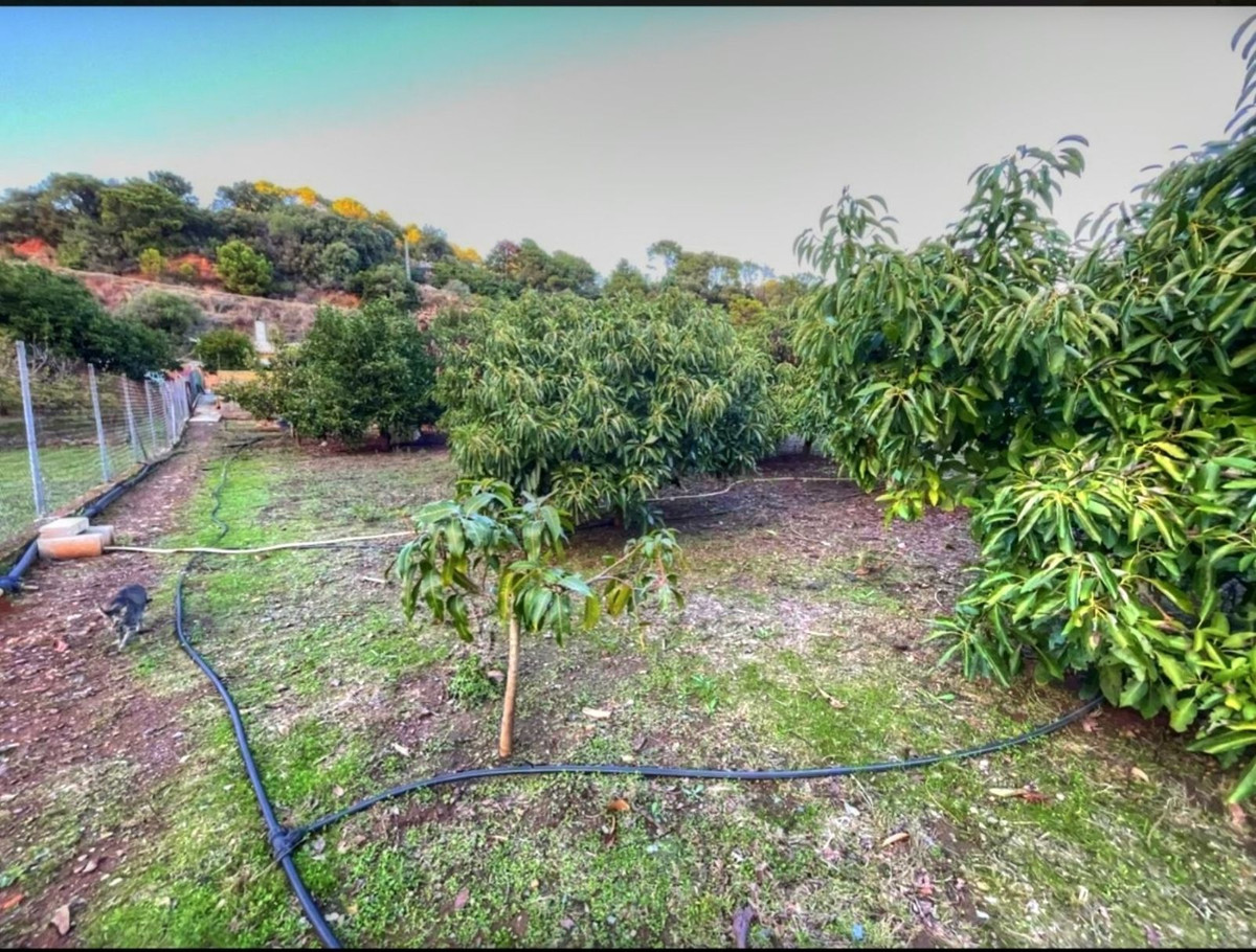4 Bed Townhouse for sale in Estepona Costa Del Sol, Málaga, Spain