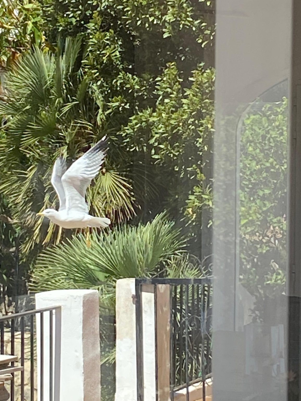 4 Bed Townhouse for sale in Denia Costa Blanca, Alicante, Spain