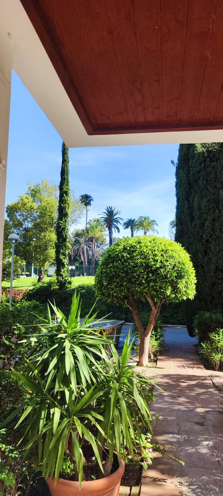 Property 26