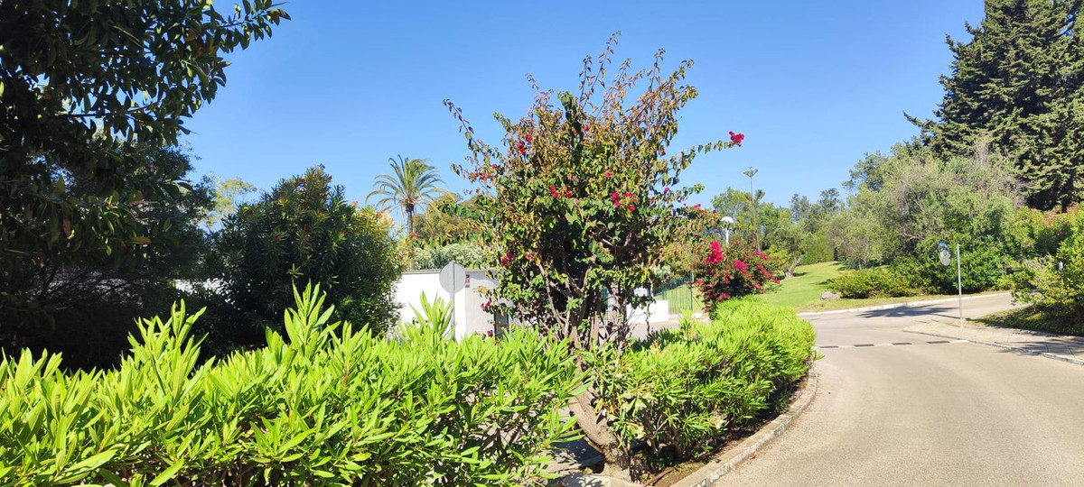 Property 30