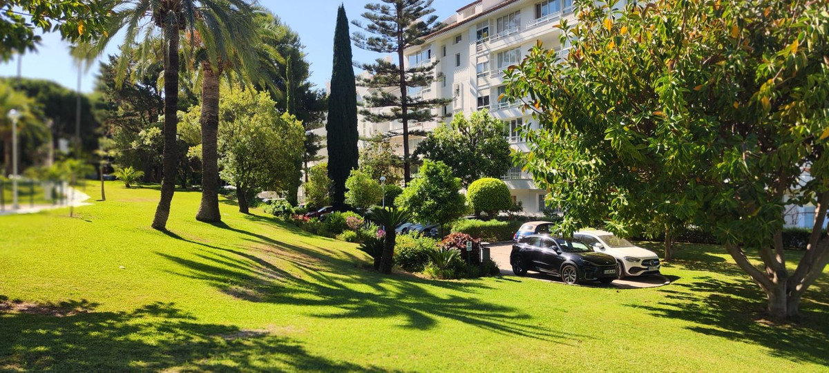 Property 36