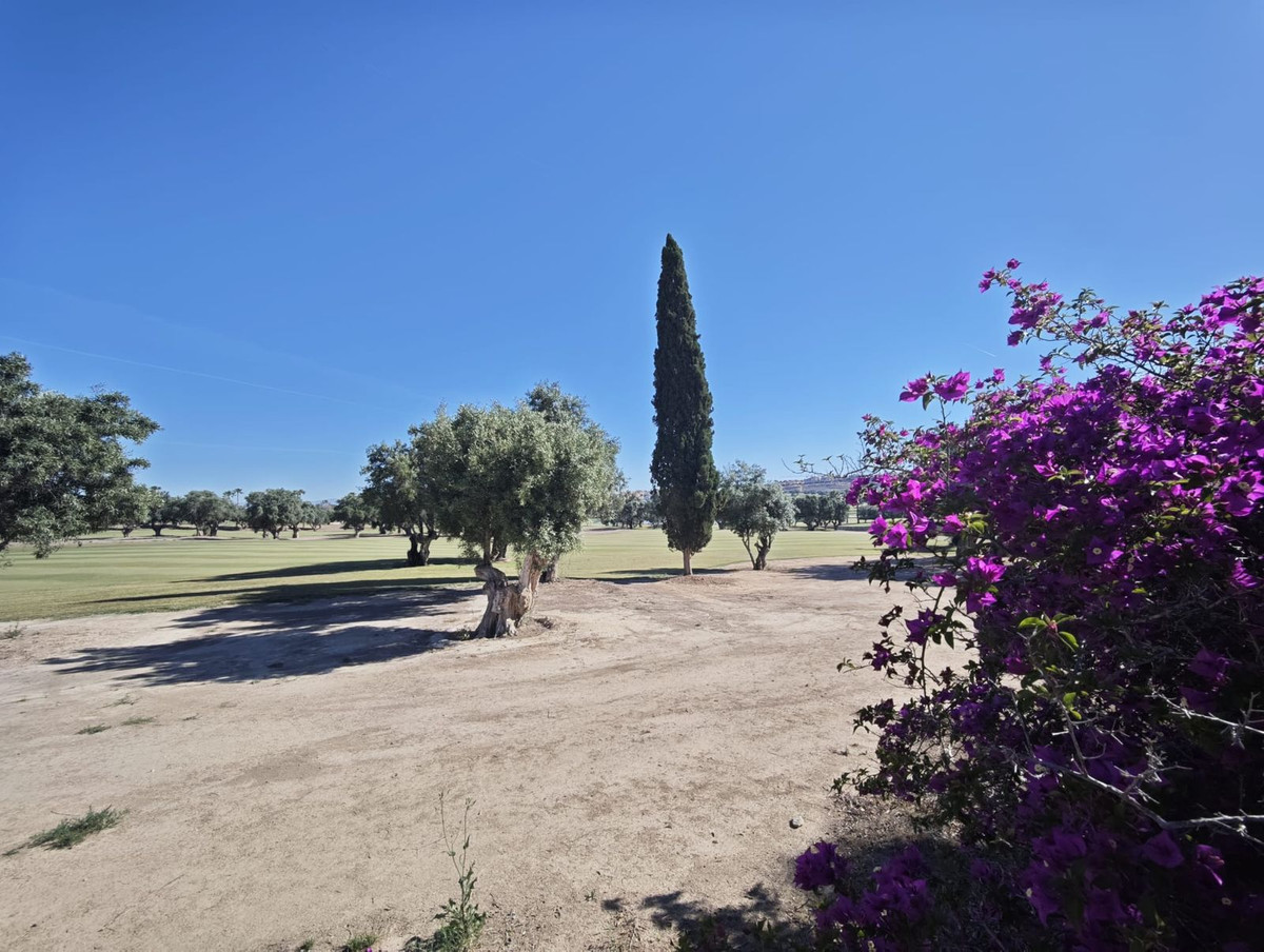 3 Bed Townhouse for sale in Algorfa Costa Blanca, Alicante, Spain