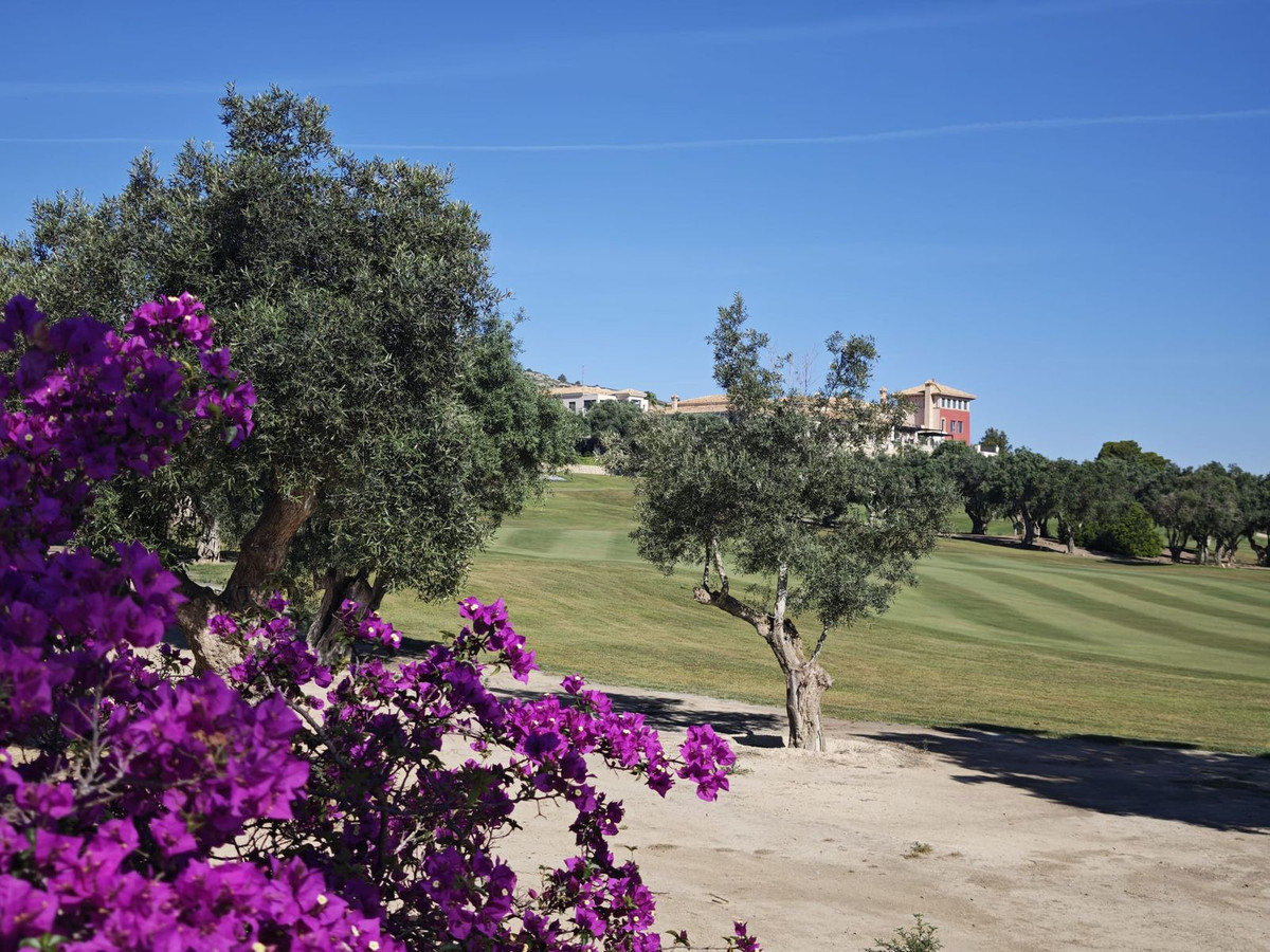 3 Bed Townhouse for sale in Algorfa Costa Blanca, Alicante, Spain
