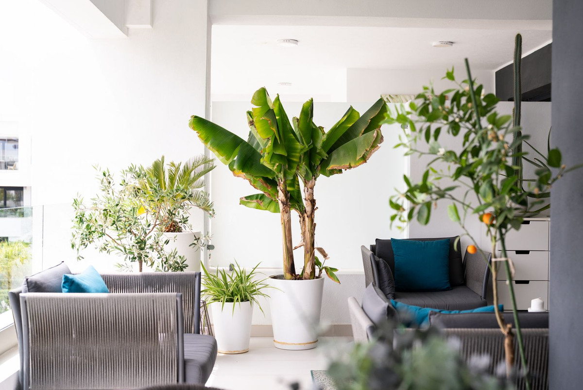 2 Bed Apartment for sale in Estepona Costa Del Sol, Málaga, Spain