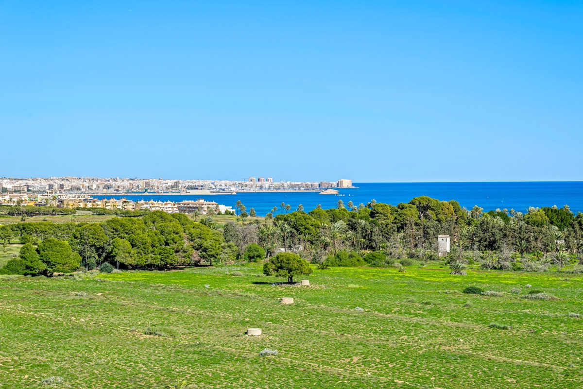 2 Bed Apartment for sale in Punta Prima Costa Blanca, Alicante, Spain