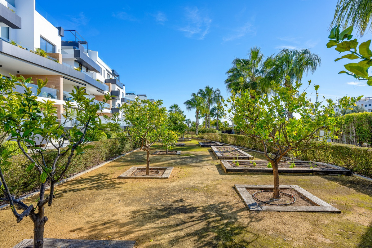 Se vende Ático de 3 dormitorios en Costa Blanca, Alicante, España