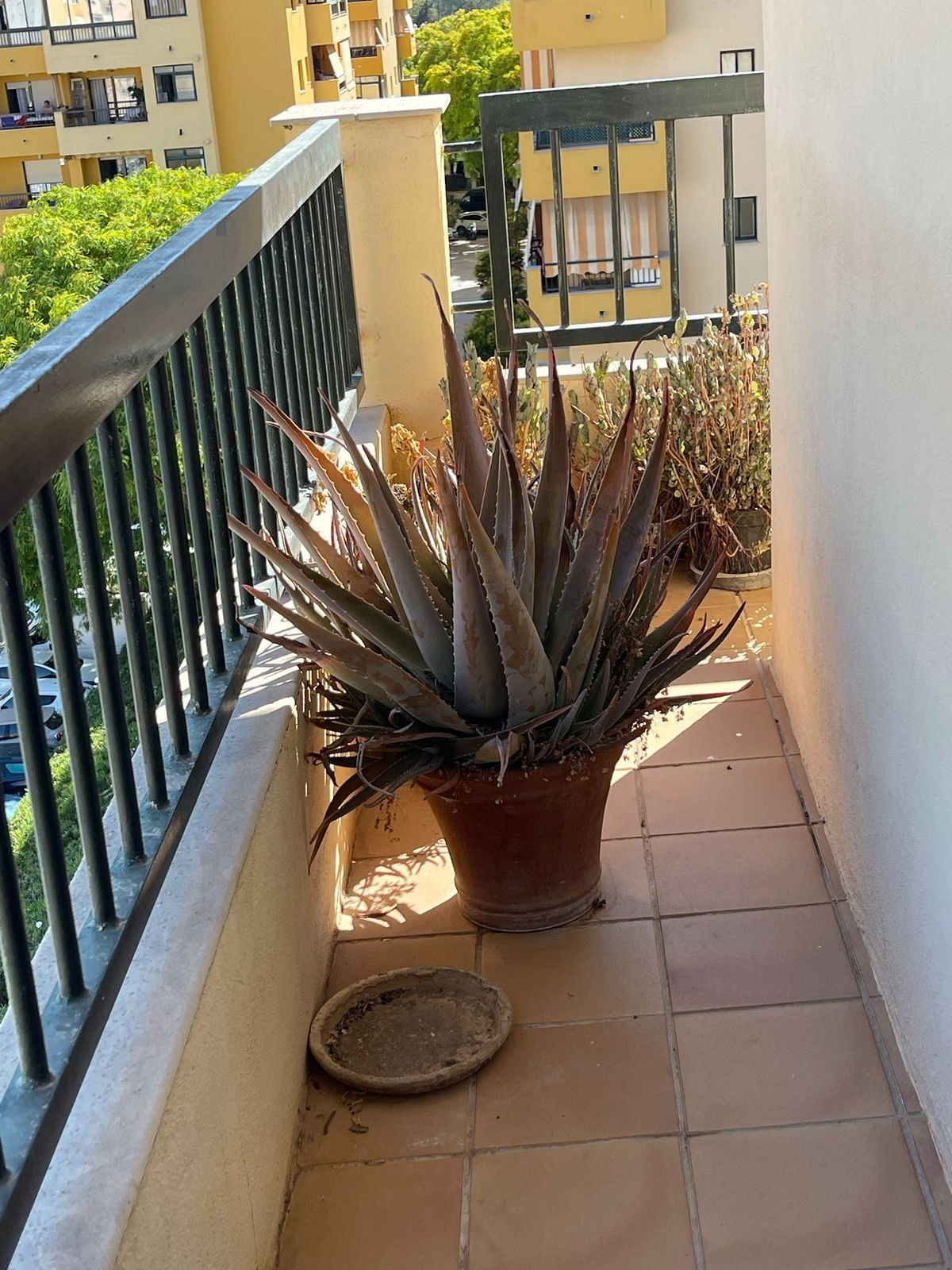 3 Bed Apartment for sale in San Pedro De Alcántara Costa Del Sol, Málaga, Spain