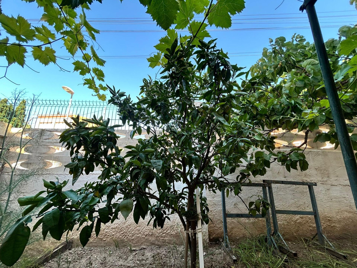 Se vende Bungalow de 4 dormitorios en Costa Blanca, Alicante, España