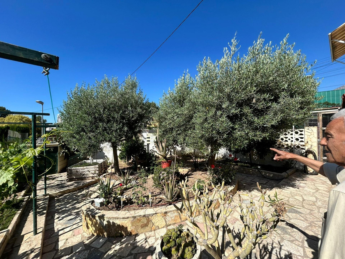 Se vende Bungalow de 4 dormitorios en Costa Blanca, Alicante, España