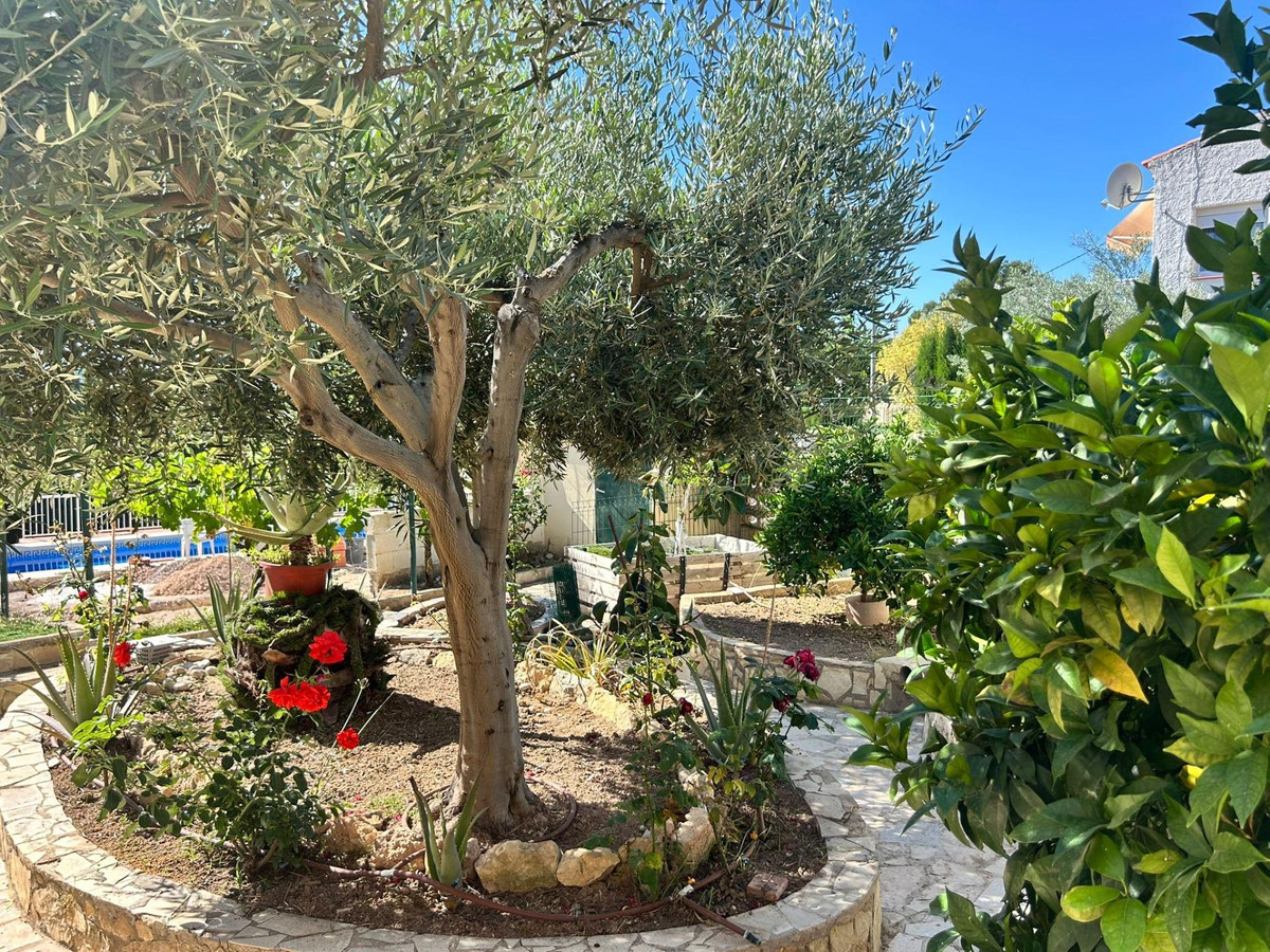 Se vende Bungalow de 4 dormitorios en Costa Blanca, Alicante, España