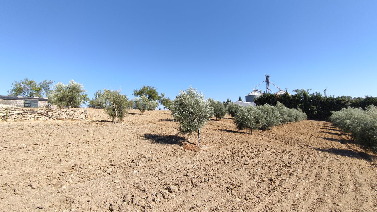 4 Bed Townhouse for sale in Ronda Costa Del Sol, Málaga, Spain