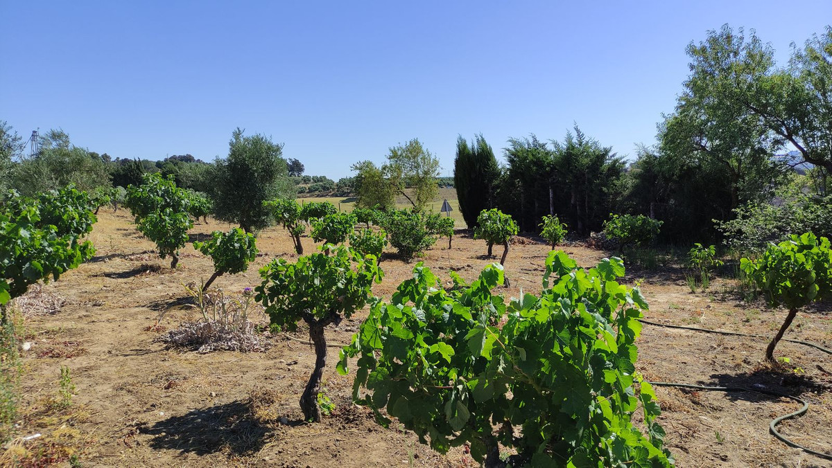 4 Bed Townhouse for sale in Ronda Costa Del Sol, Málaga, Spain