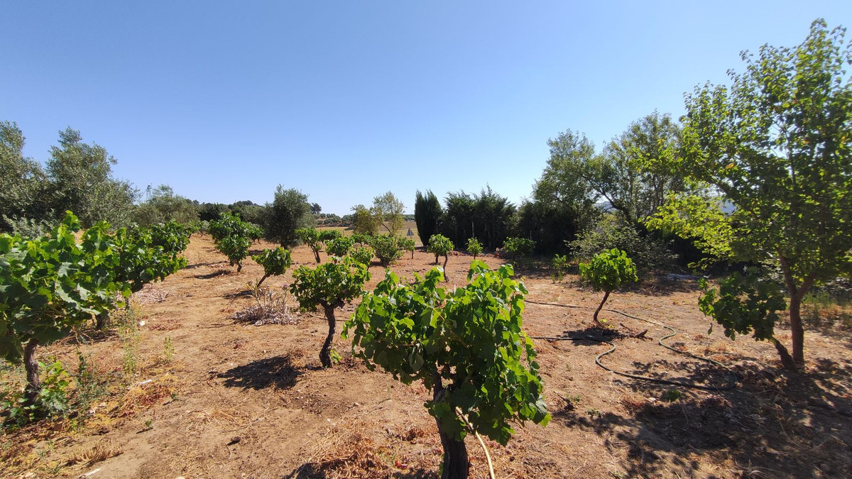 4 Bed Townhouse for sale in Ronda Costa Del Sol, Málaga, Spain