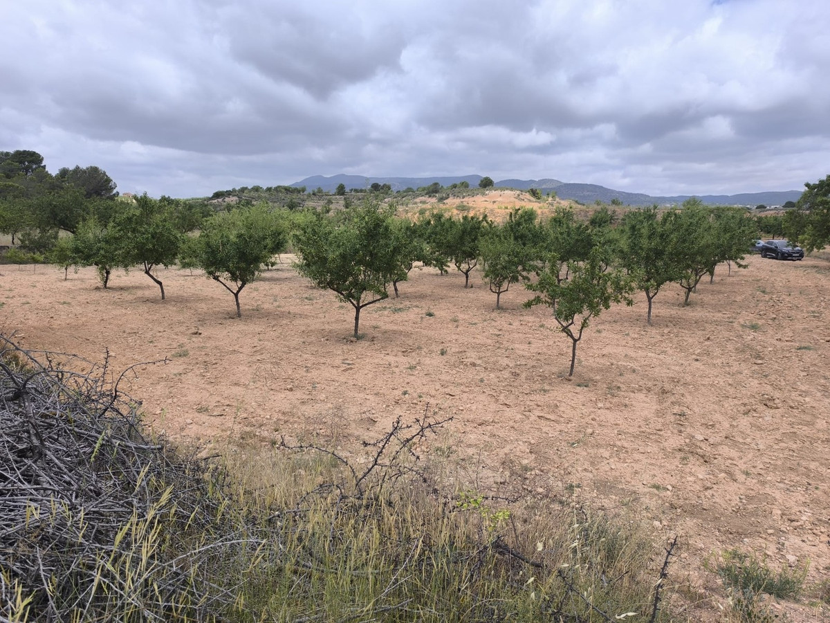 Plots for sale in Pinoso Costa Blanca, Alicante, Spain