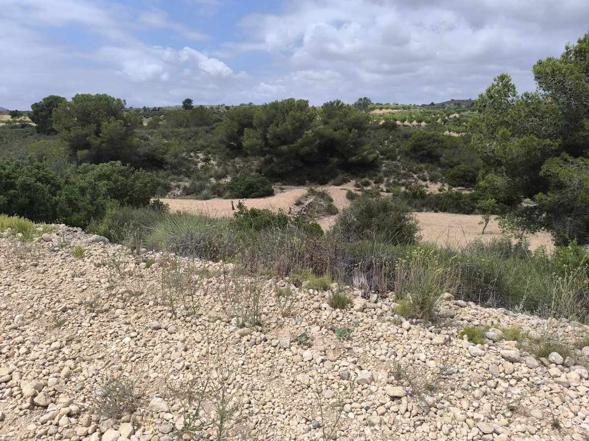 Plots for sale in Pinoso Costa Blanca, Alicante, Spain