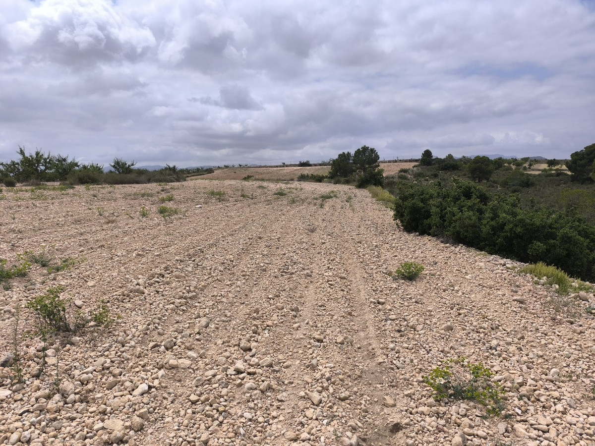 Plots for sale in Pinoso Costa Blanca, Alicante, Spain