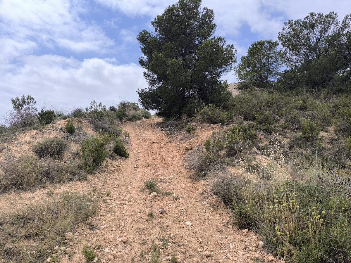Plots for sale in Pinoso Costa Blanca, Alicante, Spain