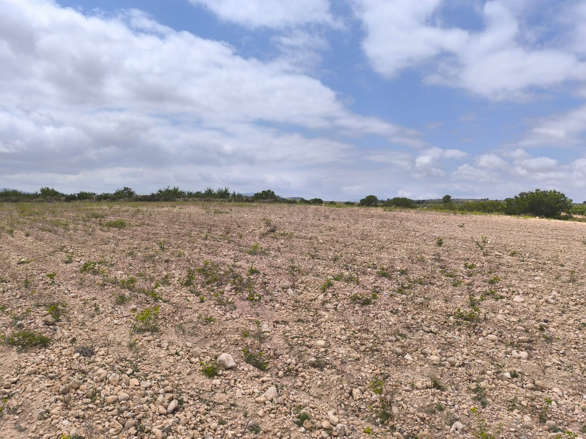 Plots for sale in Pinoso Costa Blanca, Alicante, Spain