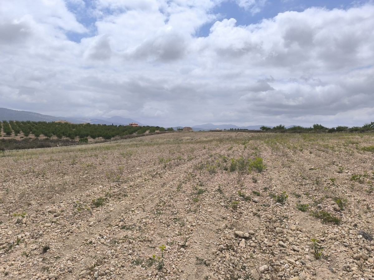 Plots for sale in Pinoso Costa Blanca, Alicante, Spain