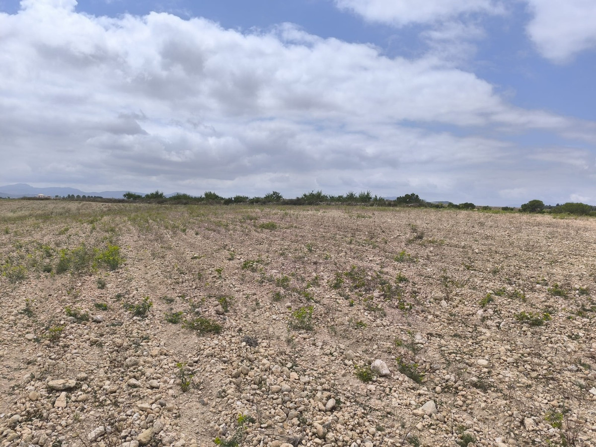 Plots for sale in Pinoso Costa Blanca, Alicante, Spain