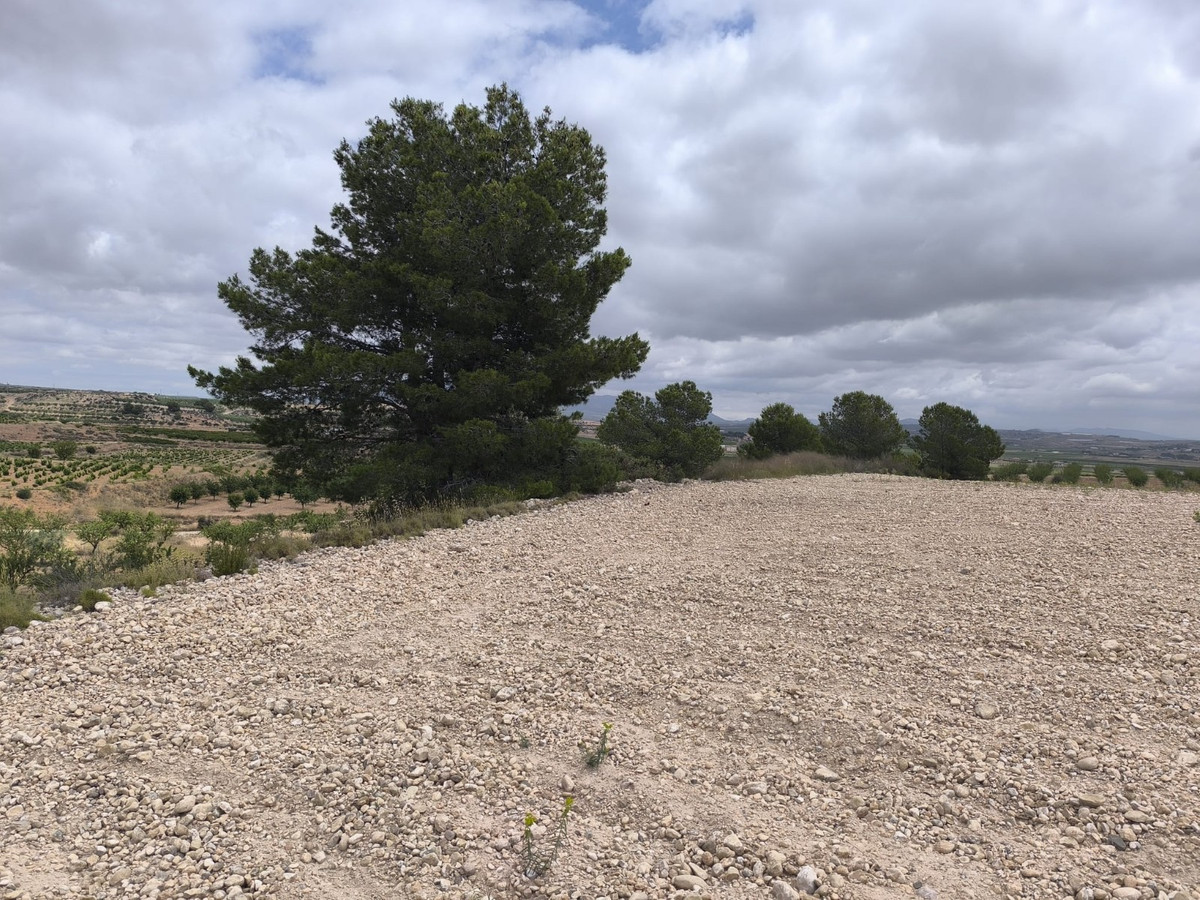 Plots for sale in Pinoso Costa Blanca, Alicante, Spain