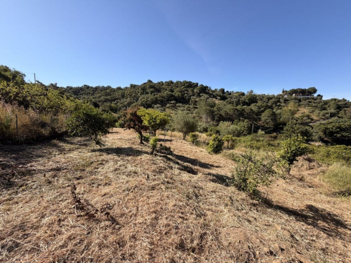 Se vende Finca - Cortijo de 1 dormitorios en Costa Del Sol, Málaga, España