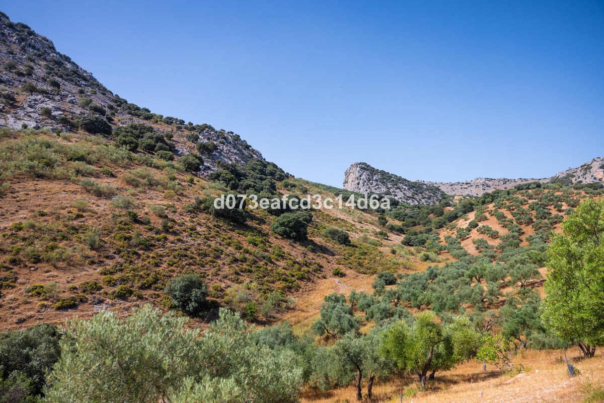 Se vende Otro  en Costa Del Sol, Málaga, España