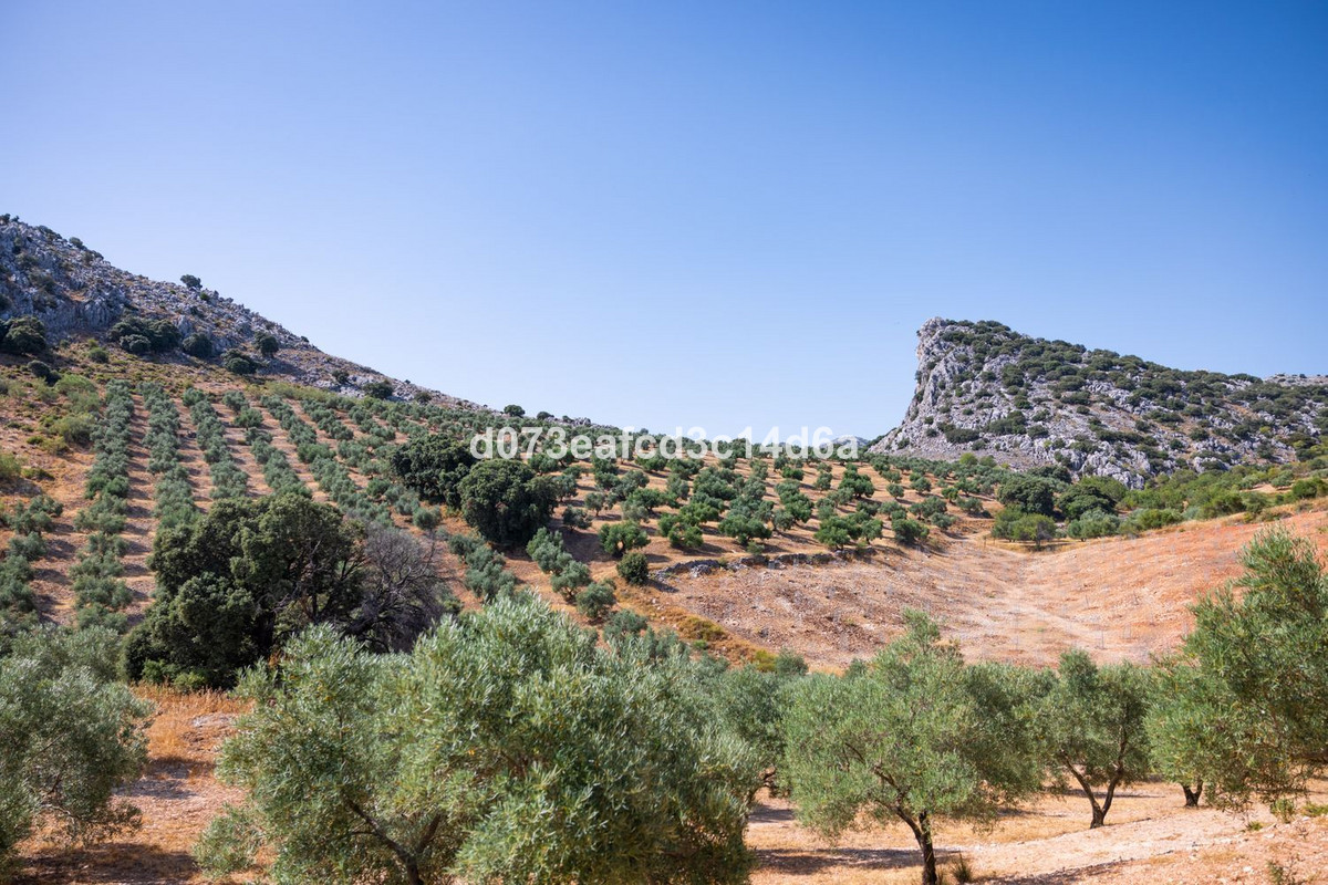 Se vende Otro  en Costa Del Sol, Málaga, España