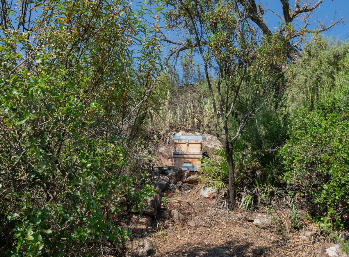 Se vende Finca - Cortijo de 7 dormitorios en Costa Del Sol, Málaga, España