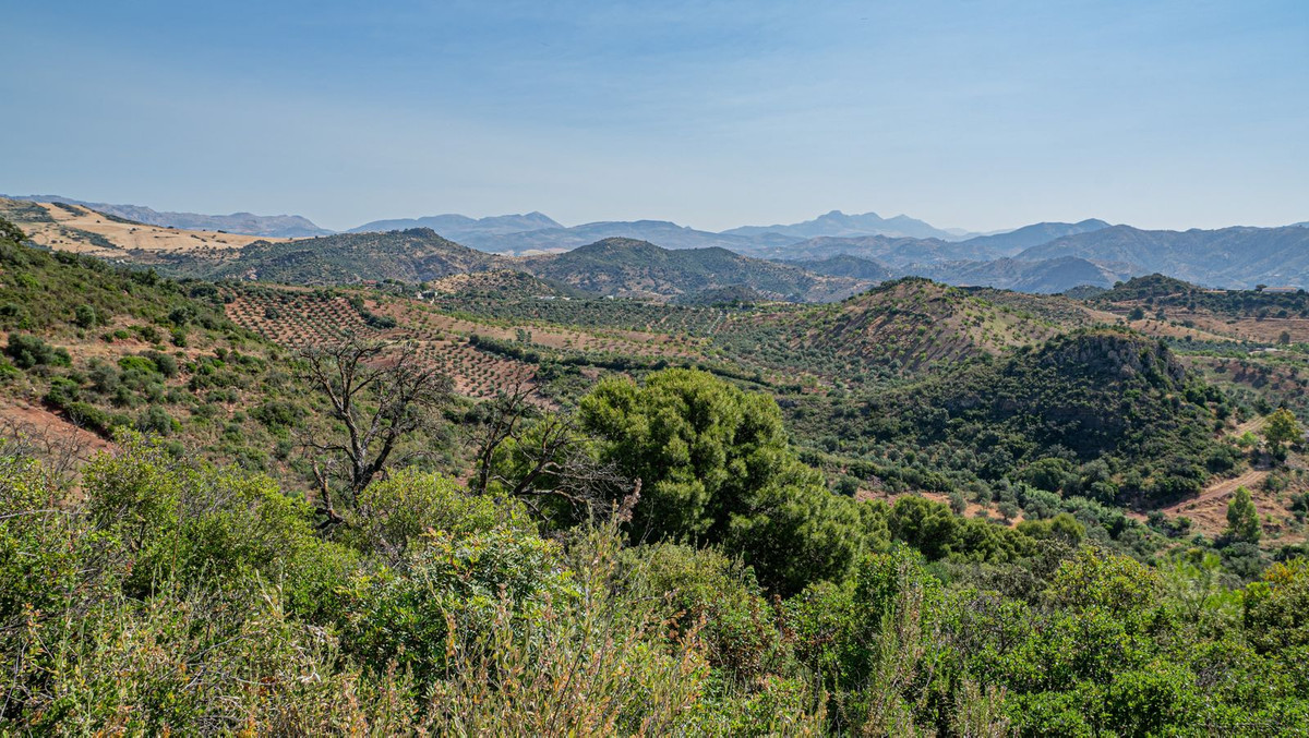 Se vende Finca - Cortijo de 7 dormitorios en Costa Del Sol, Málaga, España