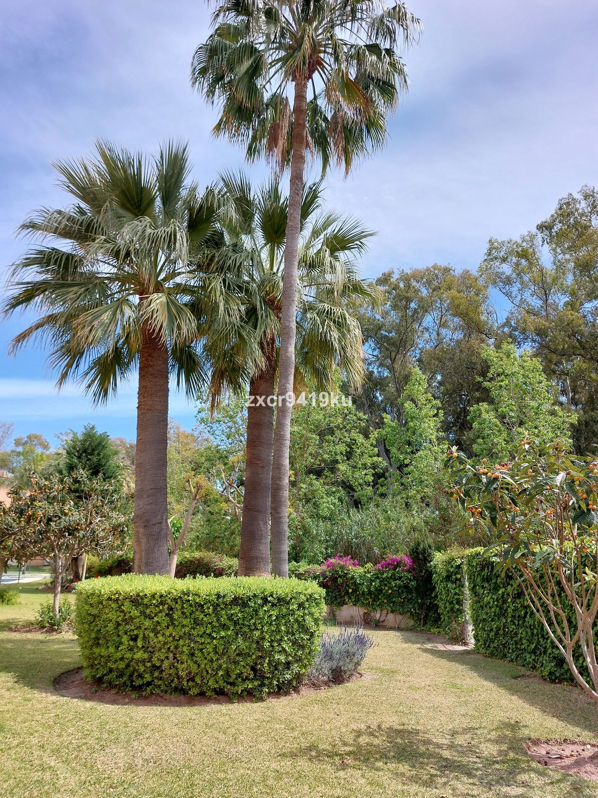 Se vende Apartamento Planta Baja de 3 dormitorios en Costa Del Sol, Málaga, España