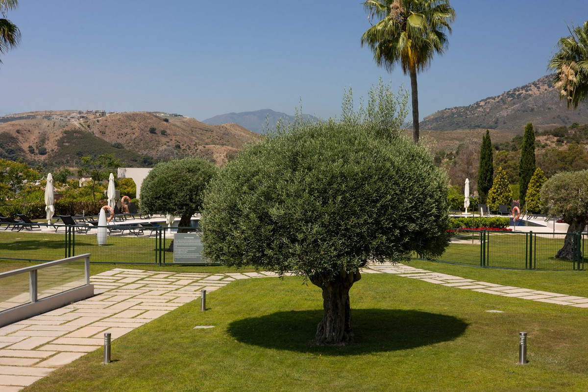 3 Bed Apartment for sale in Benahavís Costa Del Sol, Málaga, Spain
