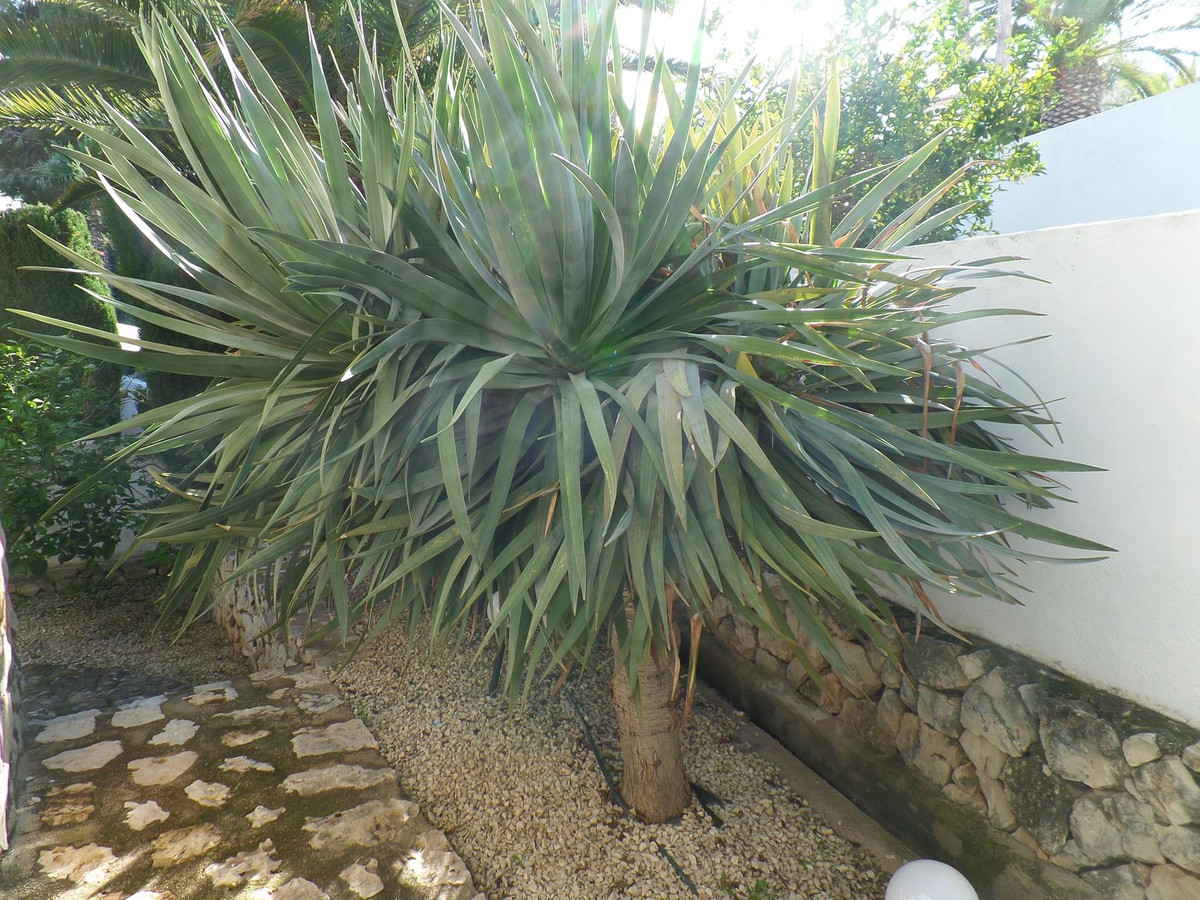 5 Bed Townhouse for sale in Benissa Coast Costa Blanca, Alicante, Spain