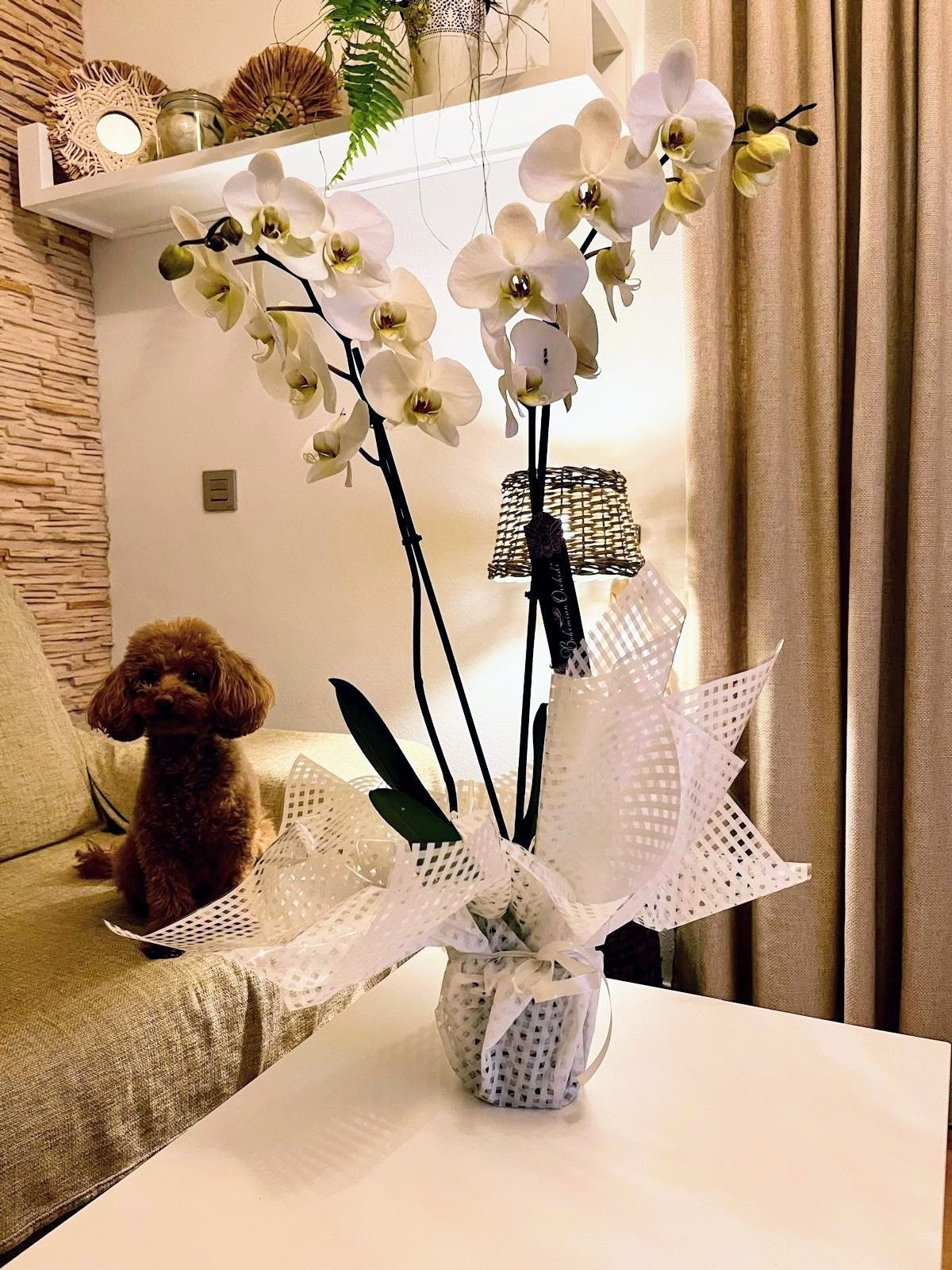 2 Bed Apartment for sale in Cartagena Costa Calida, Murcia, Spain