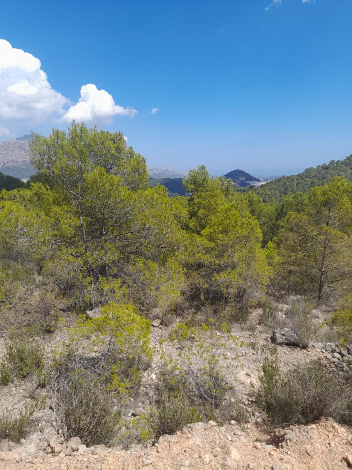 Se vende Terreno Rustico  en Costa Blanca, Alicante, España