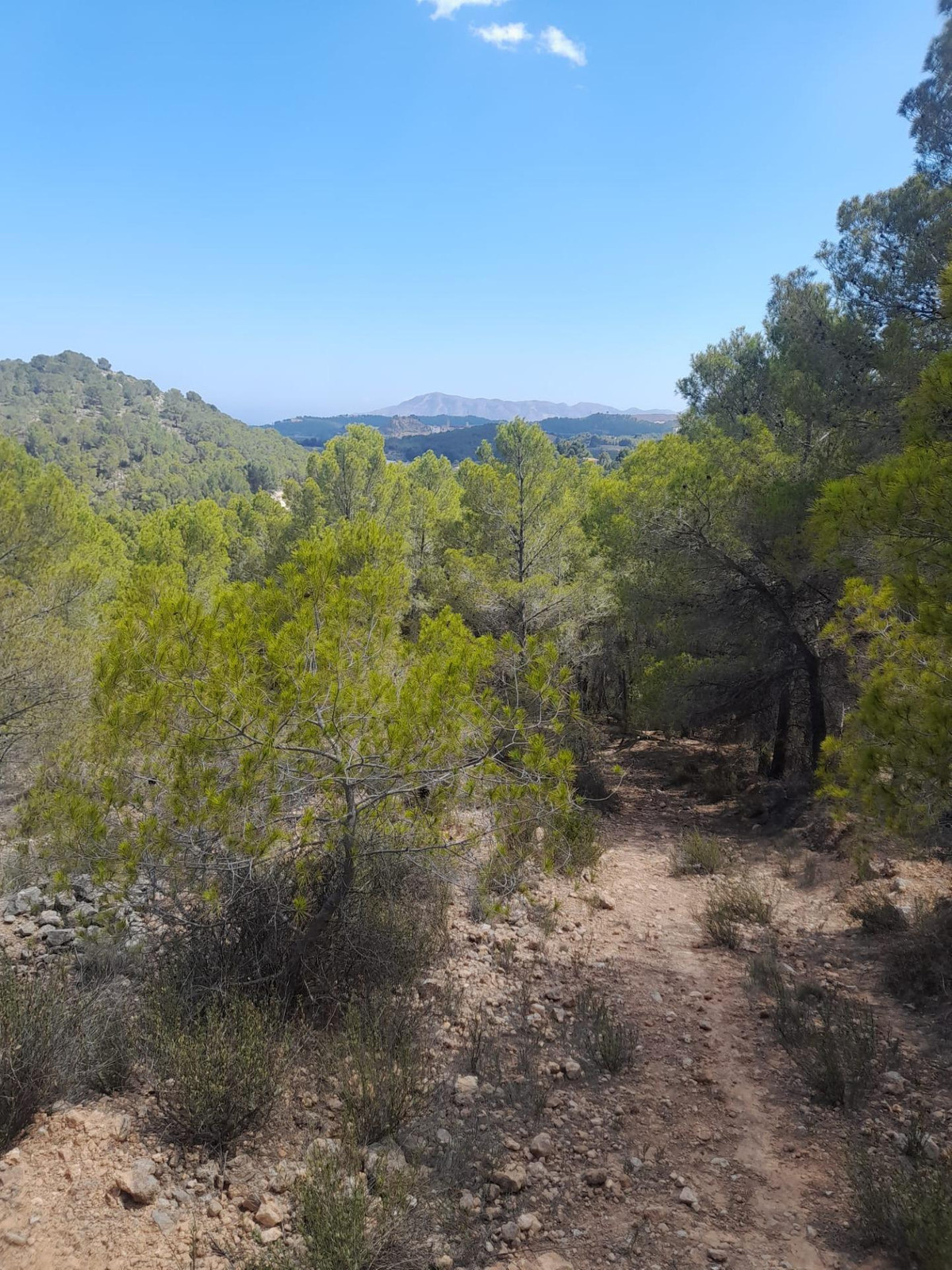 Se vende Terreno Rustico  en Costa Blanca, Alicante, España