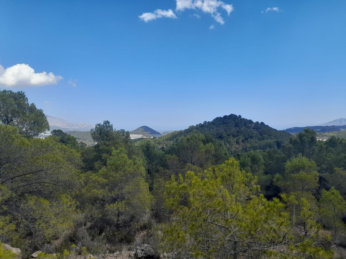 Se vende Terreno Rustico  en Costa Blanca, Alicante, España