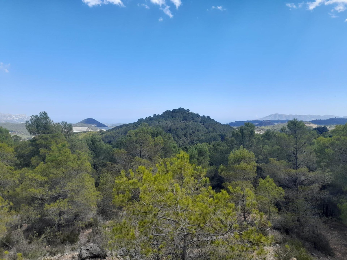 Se vende Terreno Rustico  en Costa Blanca, Alicante, España