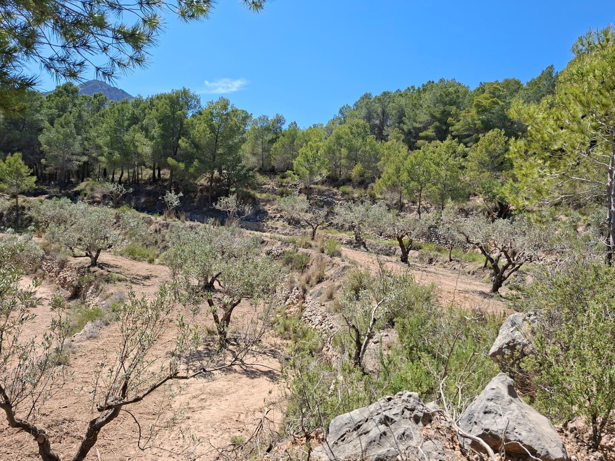 Se vende Terreno Rustico  en Costa Blanca, Alicante, España