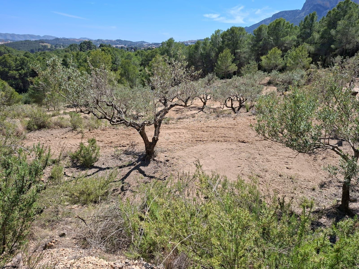 Se vende Terreno Rustico  en Costa Blanca, Alicante, España
