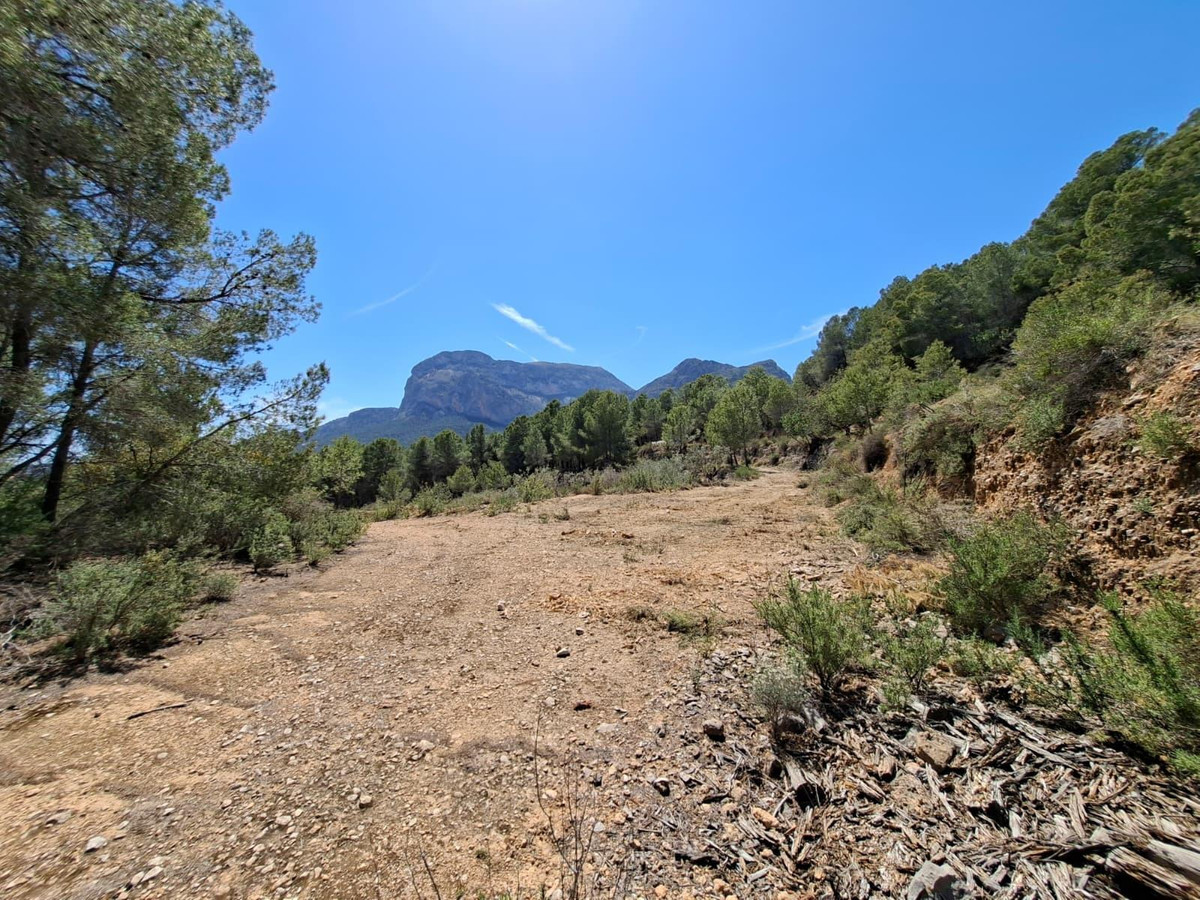 Se vende Terreno Rustico  en Costa Blanca, Alicante, España