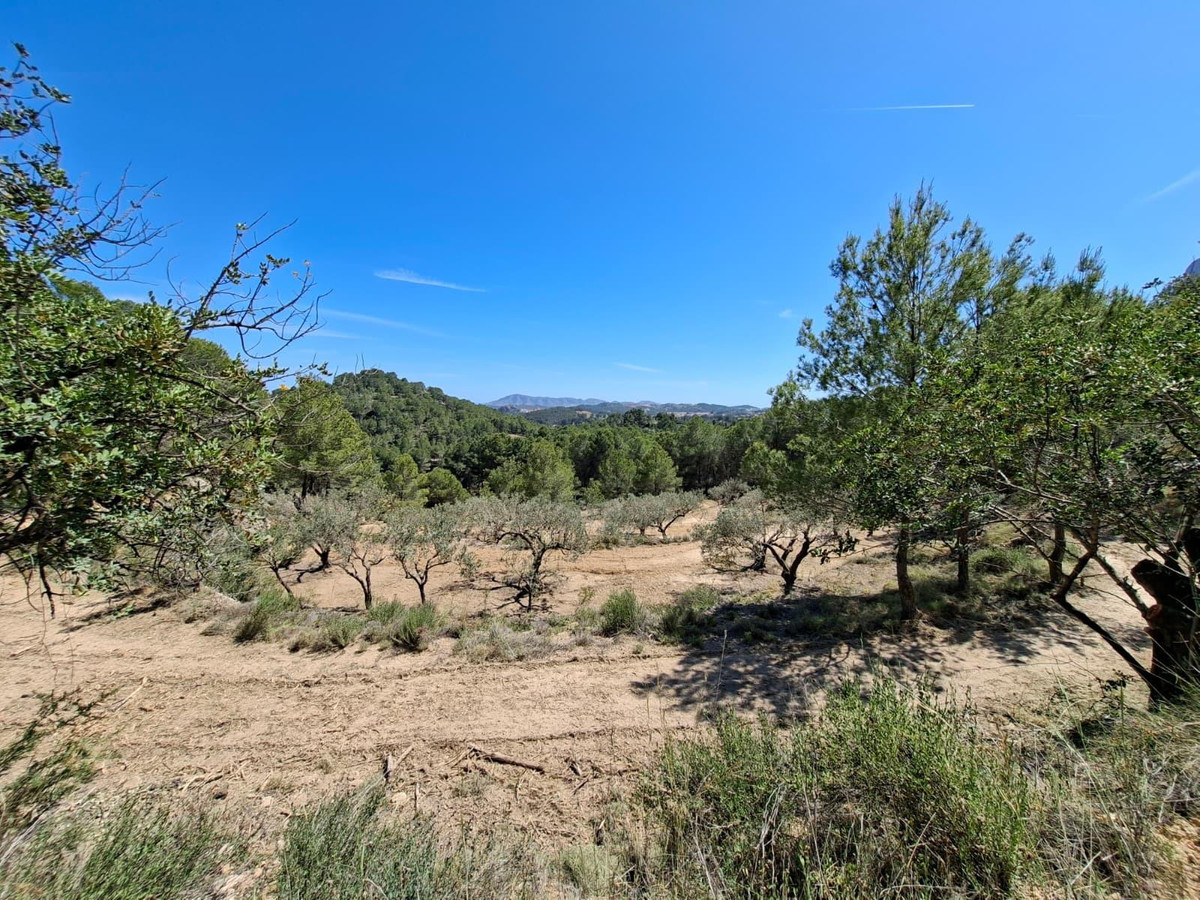 Se vende Terreno Rustico  en Costa Blanca, Alicante, España