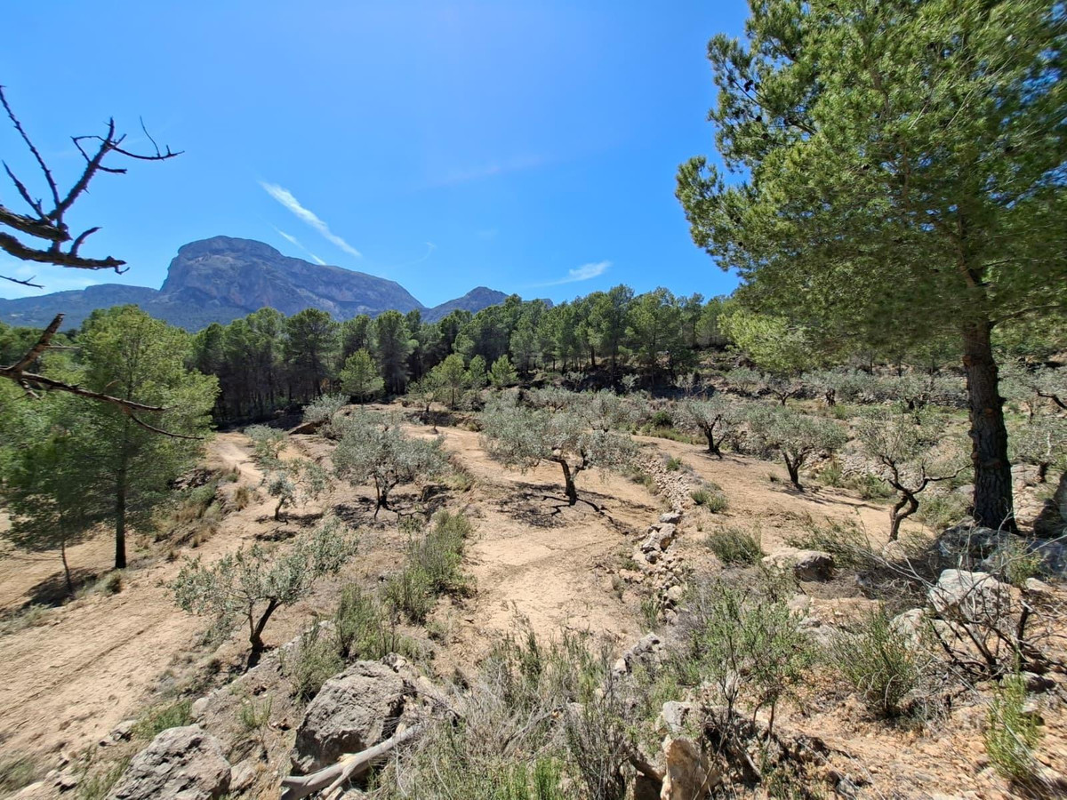 Se vende Terreno Rustico  en Costa Blanca, Alicante, España