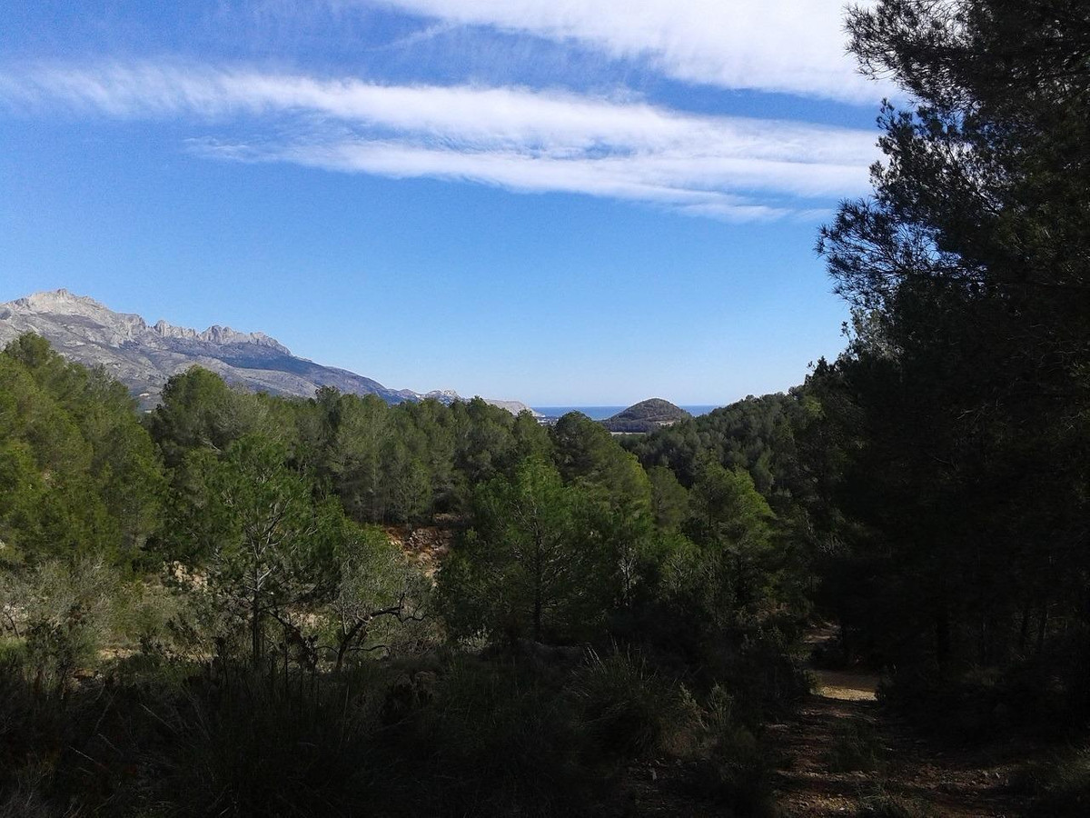 Se vende Terreno Rustico  en Costa Blanca, Alicante, España