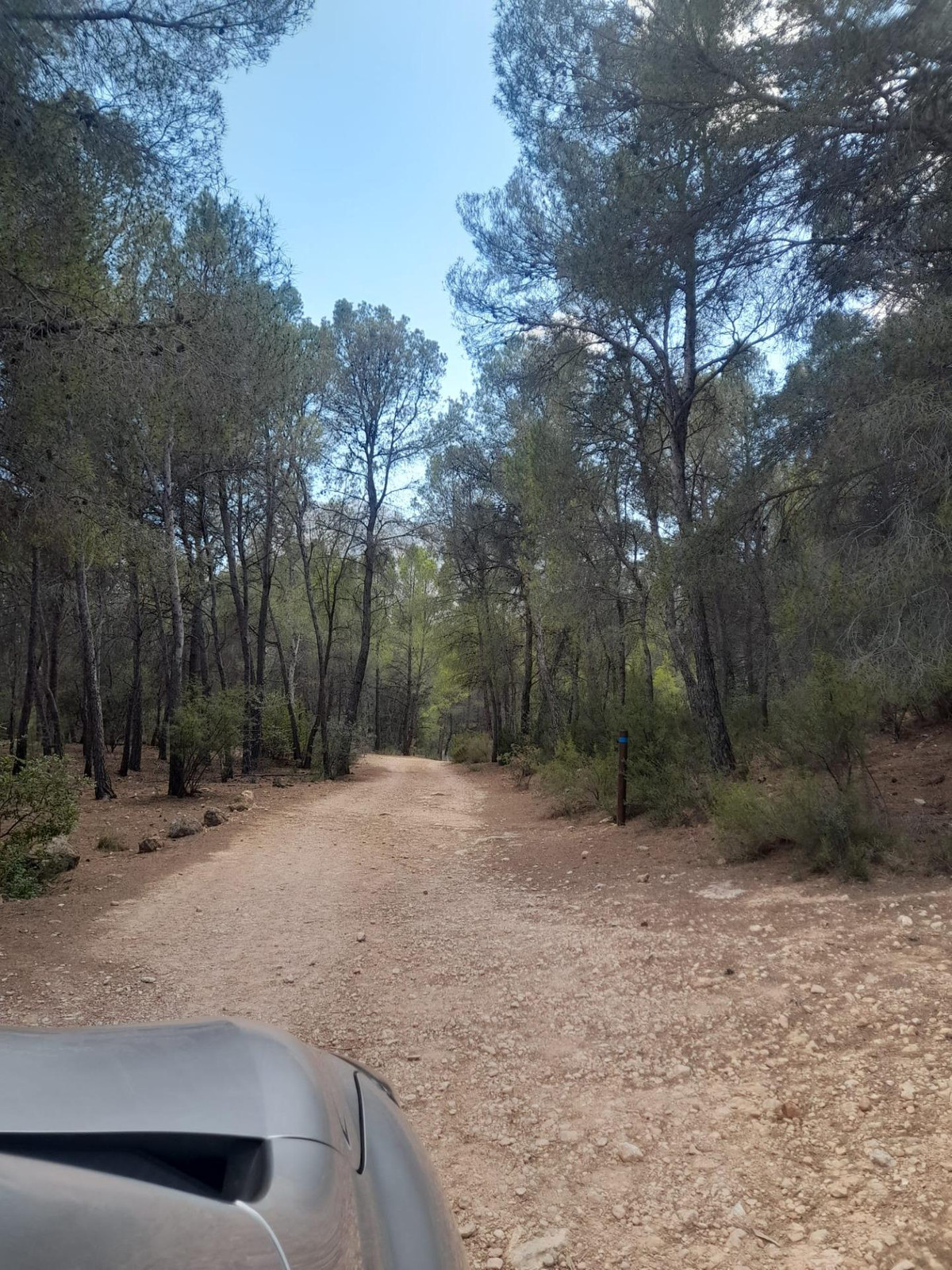 Se vende Terreno Rustico  en Costa Blanca, Alicante, España