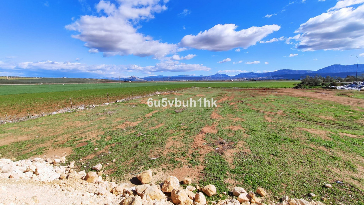 Se vende Terreno Rustico  en Costa Del Sol, Málaga, España