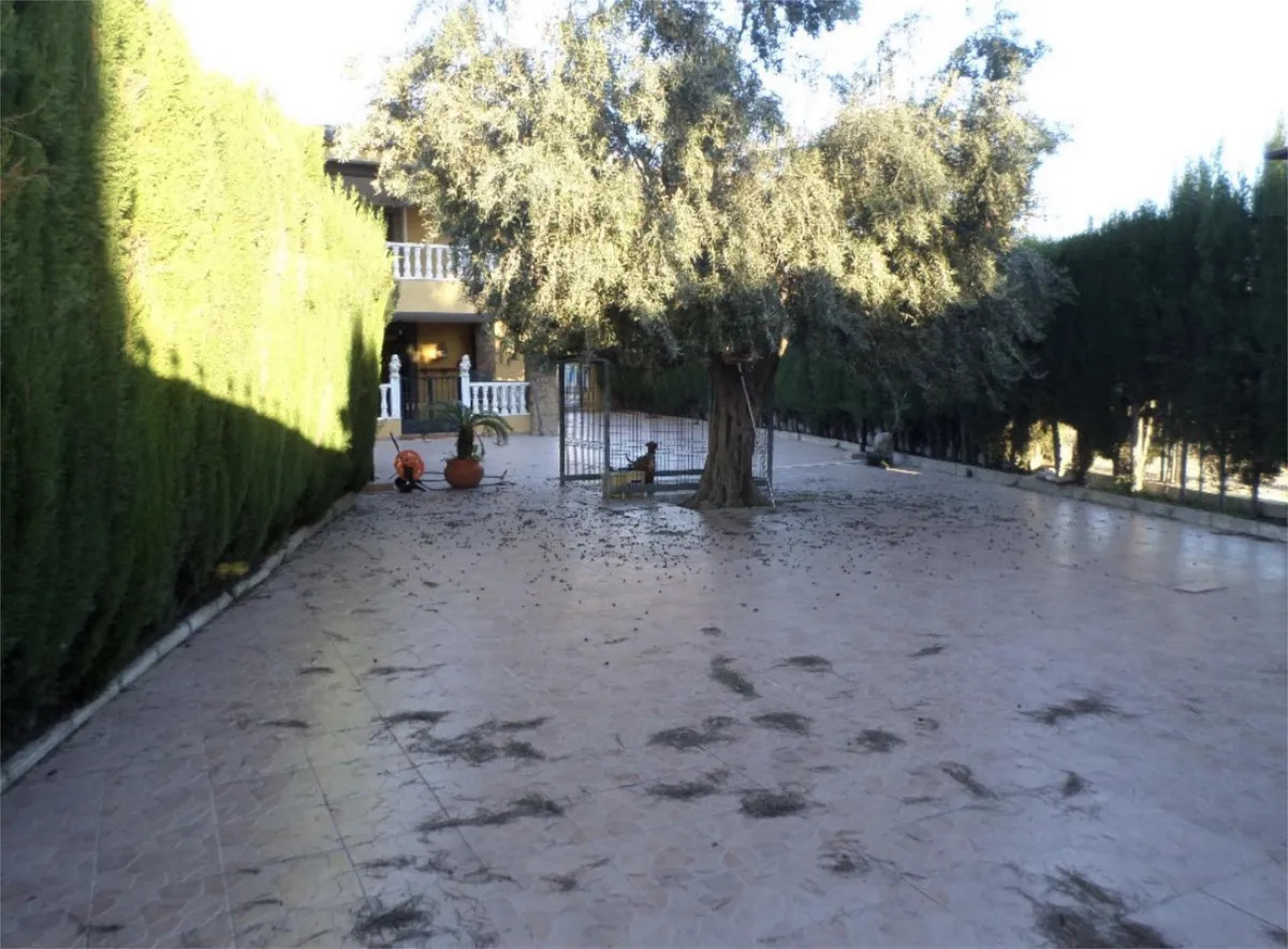 Se vende Adosada de 4 dormitorios en Costa Blanca, Alicante, España