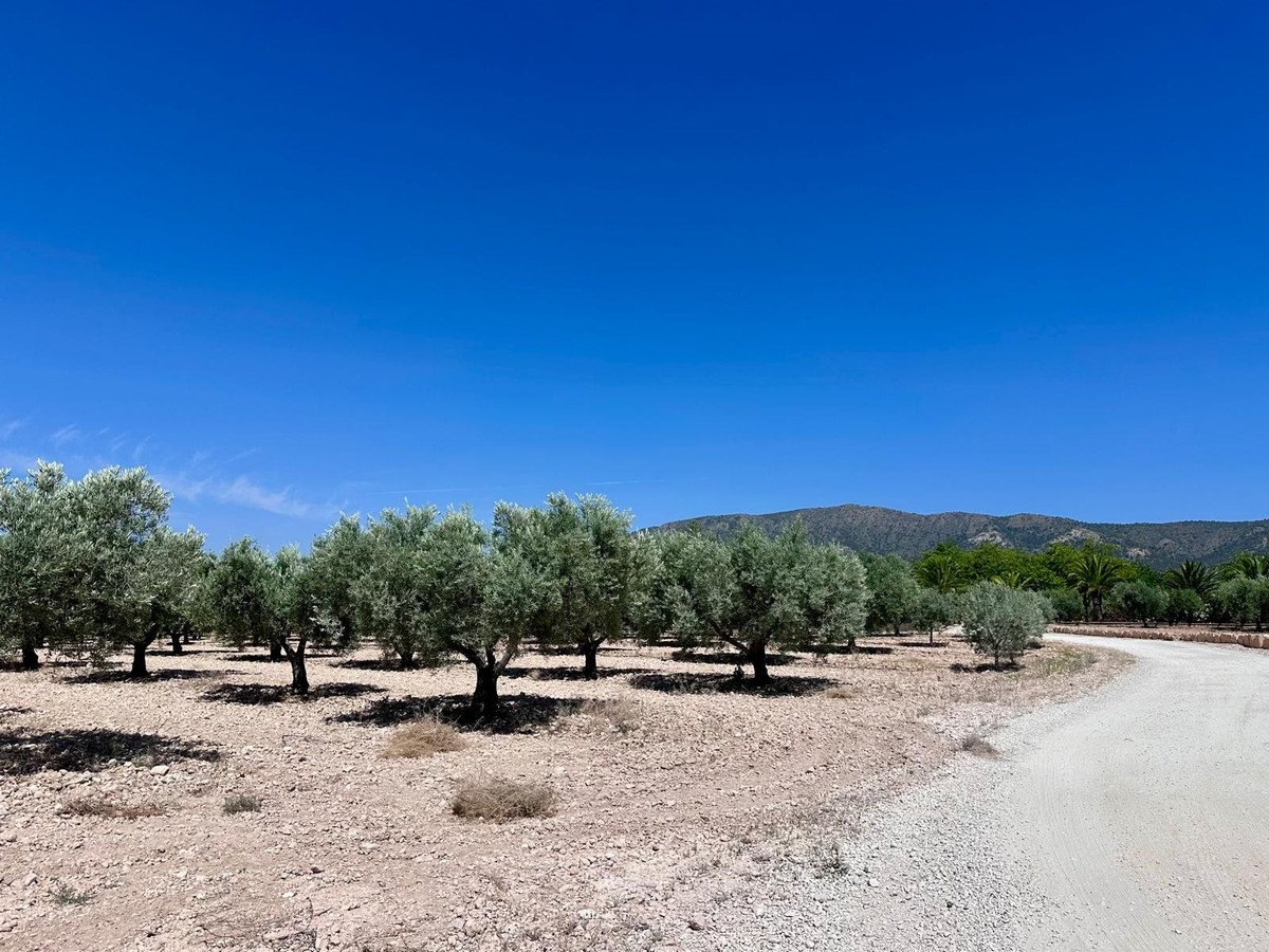 Plots for sale in Monóvar Costa Blanca, Alicante, Spain