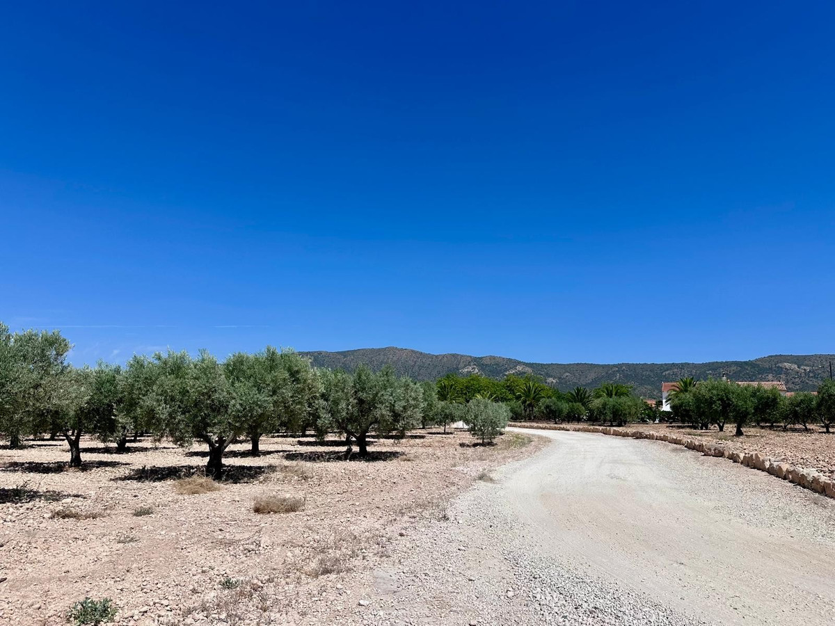 Plots for sale in Monóvar Costa Blanca, Alicante, Spain