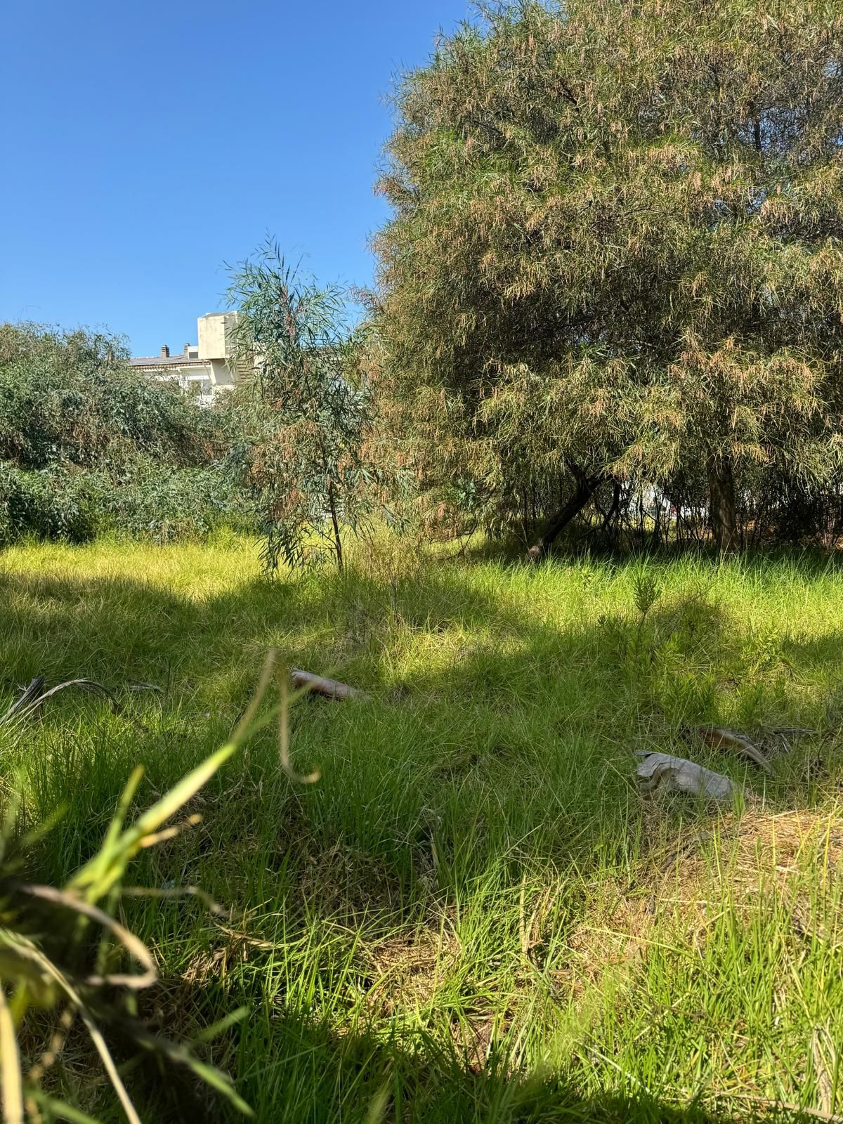 Plots for sale in Atalaya Costa Del Sol, Málaga, Spain